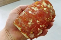 Kinh ngạc báu vật quý hơn vàng trong chất thải của cá nhà táng 