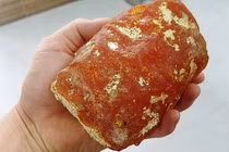 Kinh ngạc báu vật quý hơn vàng trong chất thải của cá nhà táng 