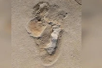 Chấn động "bóng ma" sinh vật giống con người, hơn 6 triệu tuổi 