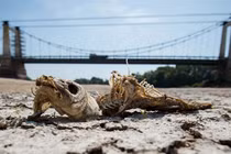 Cảnh báo nóng: Thế giới sẽ nóng kỷ lục vào năm 2022