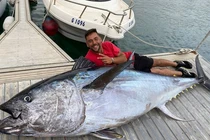 Đi câu, bất ngờ tóm được... cá khủng 300kg giá trăm triệu