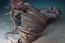 Giật mình những thứ không tin nổi được phát hiện dưới đáy đại dương 