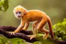 4 tuổi gặp hạn lớn, vận rủi liên miên 6 tháng cuối năm 2022