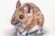 3 con giáp Bồ Tát đặc biệt ưu ái, phát tài cực to 35 ngày tới