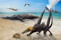 Cực nóng: Phát hiện “quái vật trên không” chưa từng thấy trên thế giới