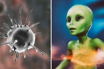 Nóng: Thám hiểm không gian khiến mầm bệnh ngoài hành tinh tấn công Trái đất? 