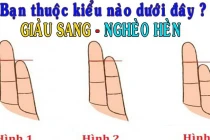 Giơ bàn tay 5 giây nhìn độ dài các ngón: Biết ngay tương lai giàu nghèo 