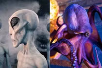 Các nhà khoa học quả quyết: "Bạch tuộc là sinh vật ngoài hành tinh"?