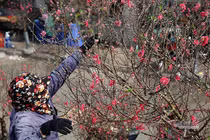 Dự báo thời tiết 7/2, miền Bắc nắng ấm trước khi đón không khí lạnh