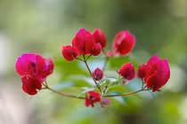 Trẻ sinh vào khung giờ này, số mệnh vàng mười, công danh bay bổng