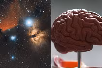 Điểm giống nhau đáng kinh ngạc giữa não người và... vũ trụ