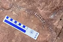 Bí ẩn sinh vật bất ngờ hiện ra trên vách đá bị xói mòn 