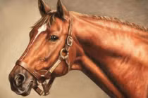 3 con giáp chuyển bại thành thắng, kiếm tiền đỉnh 2 tuần cuối tháng 4/2022