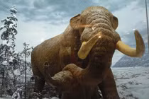 Đi chơi, cậu bé vô tình đạp trúng quái thú 11.000 năm tuổi