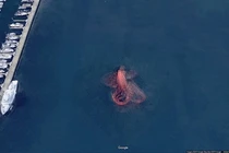 Bóc trần sự thật về ảnh thủy quái khổng lồ do Google Maps ghi lại