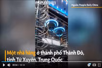 Video: Nhà hàng sử dụng đường trượt xoắn ốc để phục vụ 