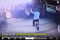 Video: Người đàn ông dắt theo chó bị mèo tấn công