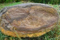 Xẻ đôi hòn đá “biết chạy”, chuyên gia sững sờ: "Chưa từng thấy!" 