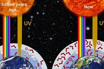 Tìm ra thủy tổ sơ khai muôn loài, sống được ở nơi chết chóc nhất