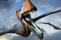 Sửng sốt quái vật bay lượn siêu đẳng ngay khi vừa chào đời 