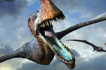 Sửng sốt quái vật bay lượn siêu đẳng ngay khi vừa chào đời 