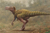 Những dấu chân khủng long hoá thạch hé lộ bí ẩn cuộc sống cổ đại