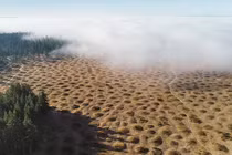 Bí ẩn giật mình vùng đất mọc lên hàng ngàn nấm mồ kỳ dị 