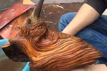 Thấy khúc gỗ lạ trong mộ tổ, chuyên gia thốt lên: "Phát tài rồi!" 