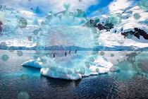 Băng ở Bắc Cực dần tan chảy, thảm họa khủng khiếp nào xảy ra? 