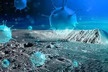 Cảnh báo nguy cơ virus cổ đại thức tỉnh vì biến đổi khí hậu