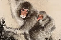 Giữa năm 2022: 3 con giáp hỷ sự liên miên, cuộc sống sung túc đủ đầy