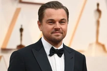 Bật mí thú vị loài cây mới phát hiện được đặt tên Leonardo DiCaprio 