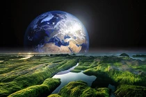 Sinh vật nhỏ bé có thể xâm chiếm, biến sao Hoả thành Trái đất