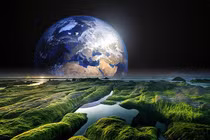 Sinh vật nhỏ bé có thể xâm chiếm, biến sao Hoả thành Trái đất