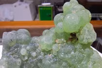 Khoe “chùm nho” lạ, cô gái vỡ òa khi biết giá trị khủng 