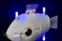 Cá robot thám hiểm đại dương thu thập những hình ảnh tuyệt đẹp