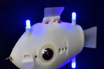 Cá robot thám hiểm đại dương thu thập những hình ảnh tuyệt đẹp