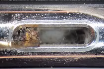 Kinh hãi khi thấy chiếc iPhone chúng ta đang sử dụng bẩn thế nào?