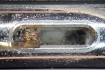 Kinh hãi khi thấy chiếc iPhone chúng ta đang sử dụng bẩn thế nào?