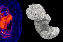 Nóng: Thai nhi biến thành vĩnh cửu trong bụng xác ướp 2.000 tuổi