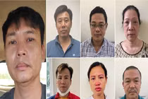 Lý do tổng giám đốc công ty cây xanh Hà Nội bị bắt