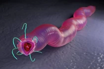 Giống giun cổ đại khổng lồ "hồi sinh", Trái Đất đứng trước thảm hoạ?