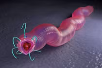 Giống giun cổ đại khổng lồ "hồi sinh", Trái Đất đứng trước thảm hoạ?