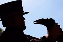 Vụ mất tích bí ẩn của con quạ nổi tiếng tháp London