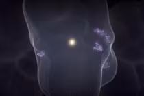 Bí ẩn bong bóng hư không cổ đại đang bao trùm cả Trái đất