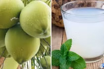 6 giờ vàng trong ngày uống nước dừa phát huy tối đa công dụng