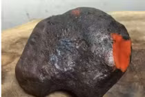 Nhặt được viên đá ruột đỏ như máu, chuyên gia lập tức chúc mừng 