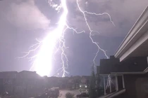 Hình ảnh gây sốc cho con người về thế giới tự nhiên