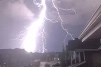 Hình ảnh gây sốc cho con người về thế giới tự nhiên