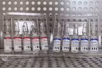 Chính phủ đồng ý đàm phán mua 40 triệu liều vắc xin Sputnik V